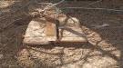 قوات الأمن الوطني الساحل تفكك عبوة ناسفة شمال أحور بمحافظة أبين